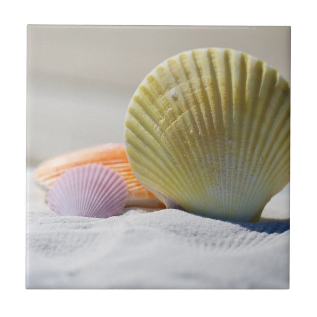 Azulejo De Cerâmica Conchas Coloridas na Areia (Frente)