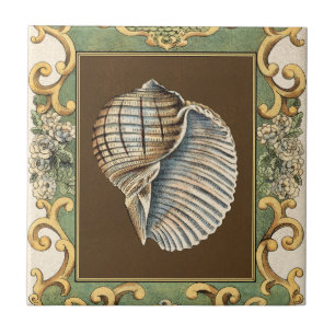 Azulejo De Cerâmica Conchas de Pequena Sereia