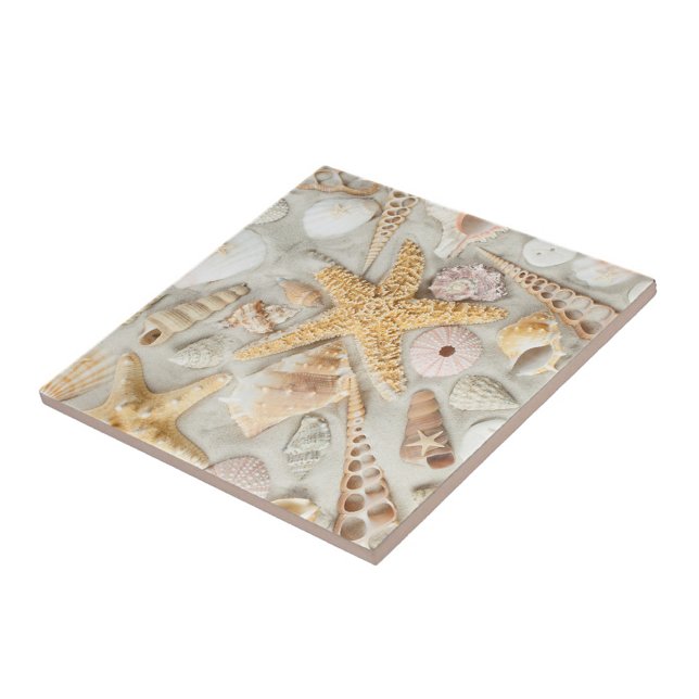Azulejo De Cerâmica Conchas marítimas (Starfish Seashells Cermic Tile!)