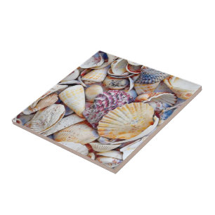 Azulejo De Cerâmica Conchas Marítimas Náuticas Ocean Beach Watercolo