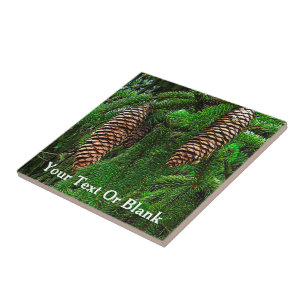 Azulejo De Cerâmica Cones E Agulhas