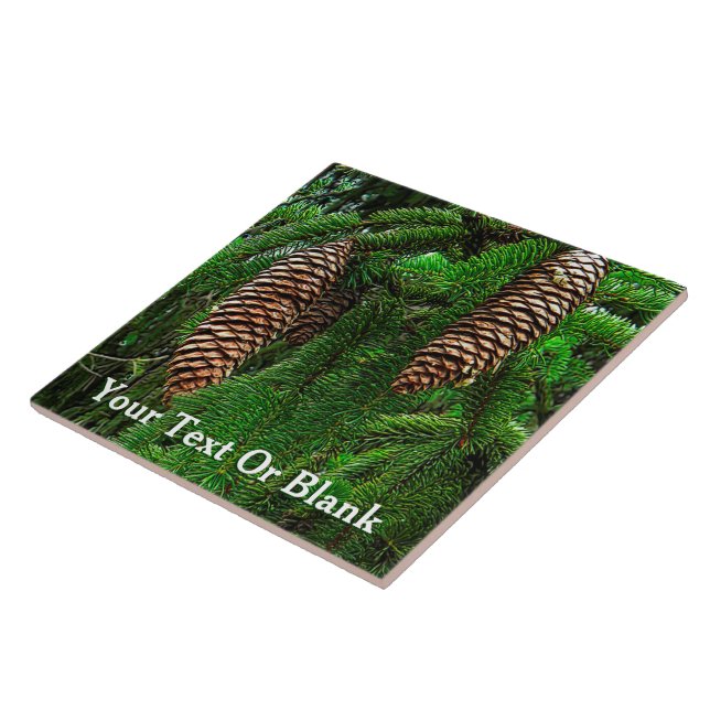 Azulejo De Cerâmica Cones E Agulhas (Lateral)