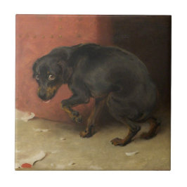 Azulejo De Cerâmica Consciência Faz Borricas De Todos Nós