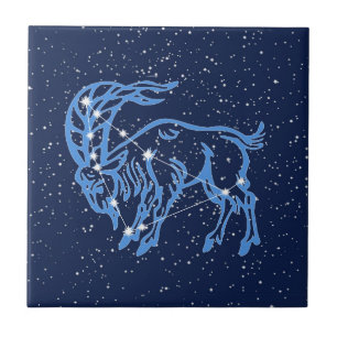 Azulejo De Cerâmica Constelação de Capricórnio e Sinal de Sol com E