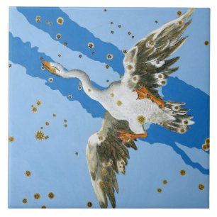 Azulejo De Cerâmica Constelação de Cygnus, do writte de "Uranometria"