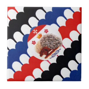 Azulejo De Cerâmica Contrada Sovirana dell' Istrice (Porcupine) Palio