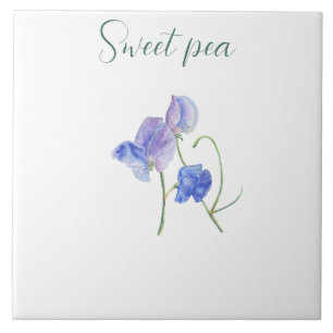 Azulejo De Cerâmica Cor de água botânica da flor da ervilha doce azul