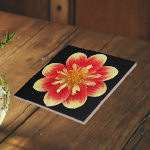 Azulejo De Cerâmica Cor de laranja e amarelo Dahlia Floral