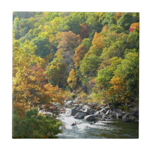 Azulejo De Cerâmica Cor de queda no Parque Estadual de Ohiopyle