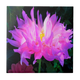 Azulejo De Cerâmica Cor-de-rosa estonteante e cacto roxo Dahlia