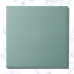 Azulejo De Cerâmica Cor Sólida Azul Aqua<br><div class="desc">Cor Sólida Azul Aqua</div>