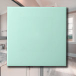 Azulejo De Cerâmica Cor Sólida Azul da Mint | Clássico | Elegante<br><div class="desc">Cor Sólida Azul da Mint | Clássico | Elegante | Evolução | NA MODA | Presente</div>