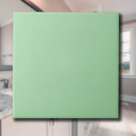 Azulejo De Cerâmica Cor Sólida Verde Celadon | Clássico | Elegante<br><div class="desc">Cor Sólida Verde Celadon | Clássico | Elegante | Evolução | NA MODA | Presente</div>