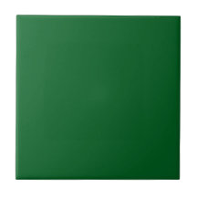 Cor Sólida Verde Floresta Escuro Moderno 