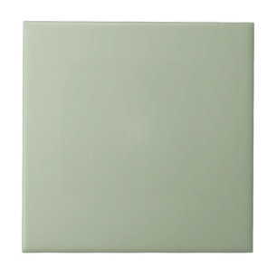Azulejo De Cerâmica Cor Verde Sage Claro Sólido