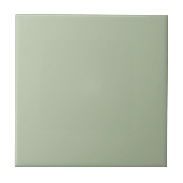Azulejo De Cerâmica Cor Verde Sage Claro Sólido (Frente)