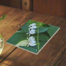 Coração Sangrando Branco Floral
