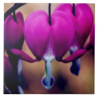 Corações Sangrentos Cor-de-Rosa Floral