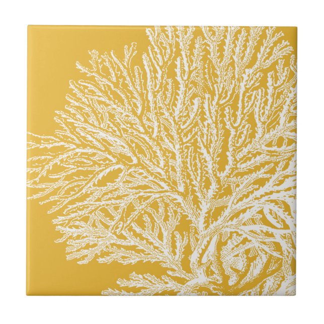 Azulejo De Cerâmica Coral Amarelo e Branco (Frente)