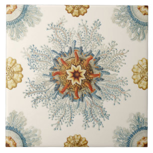 Azulejo De Cerâmica Coral Mandala