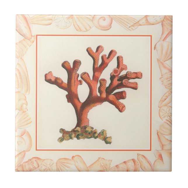 Azulejo De Cerâmica Coral Vermelho com Borda Conch Shell (Frente)