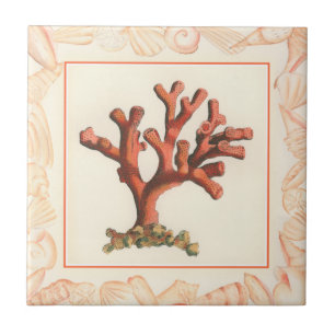 Azulejo De Cerâmica Coral Vermelho com Borda de Shell Conch