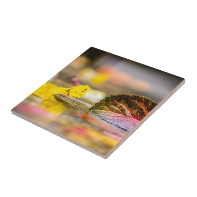 Azulejo De Cerâmica Cores de queda (Lateral)