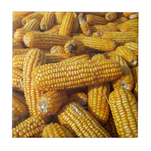 Azulejo De Cerâmica Corn Harvest