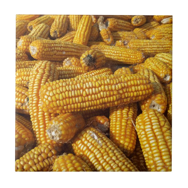 Azulejo De Cerâmica Corn Harvest (Frente)