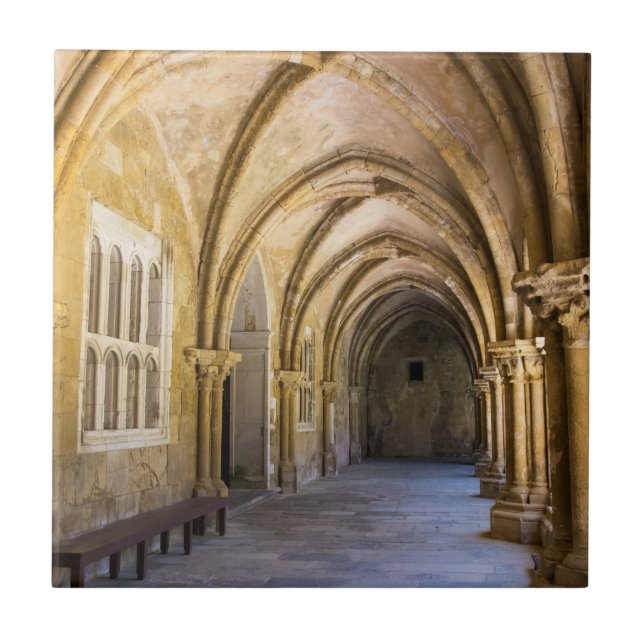 Azulejo De Cerâmica Corredor da Claustro da Catedral Arqueada (Frente)