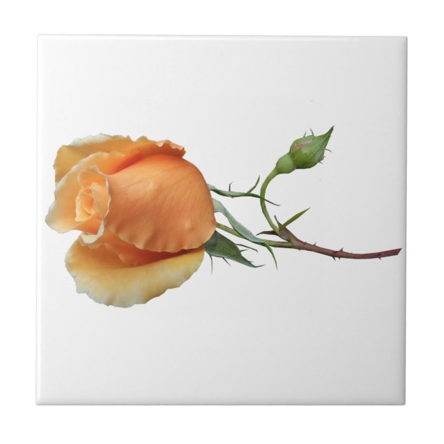 Azulejo De Cerâmica Corte de rosa solteiro (Frente)