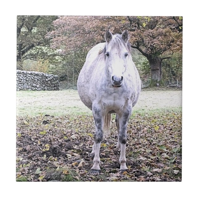 AZULEJO DE CERÂMICA  CORTE HORSE (Frente)