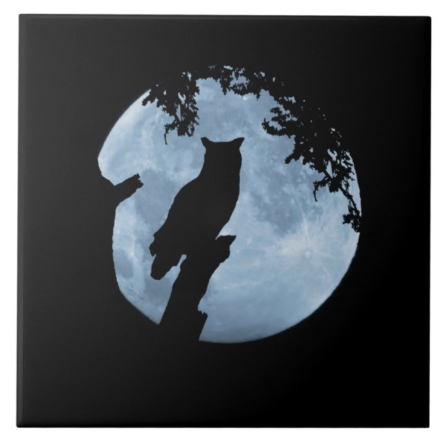 Azulejo De Cerâmica Coruja e Lua Completa  (Frente)