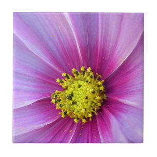 Azulejo De Cerâmica Cosmos Rosa