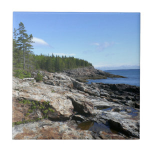 Azulejo De Cerâmica Costa da Ilha Bar no Parque Nacional Acadia