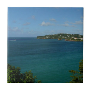 Azulejo De Cerâmica Costa das Ruas. Lucia Caribe Foto de Férias