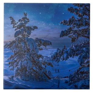 Azulejo De Cerâmica Costa do Mar Báltico de Snowy com árvore de abet