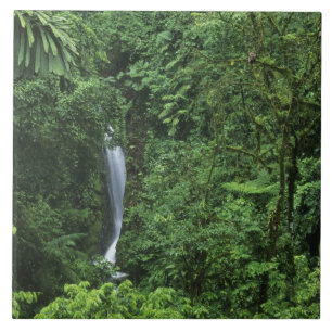 Azulejo De Cerâmica Costa Rica, área do vulcão Arenal, Pontes Pendurad