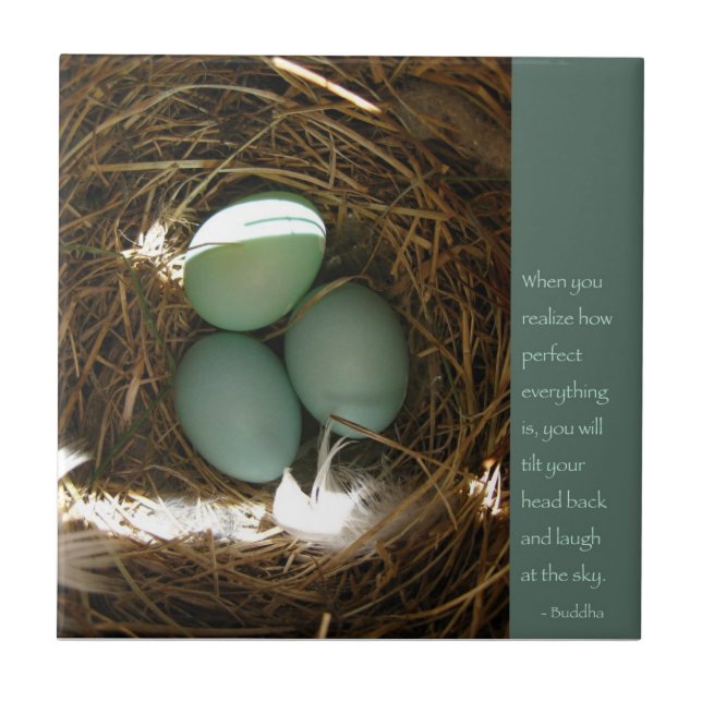 Azulejo De Cerâmica Cota Bluebird c/ Buddha (Frente)