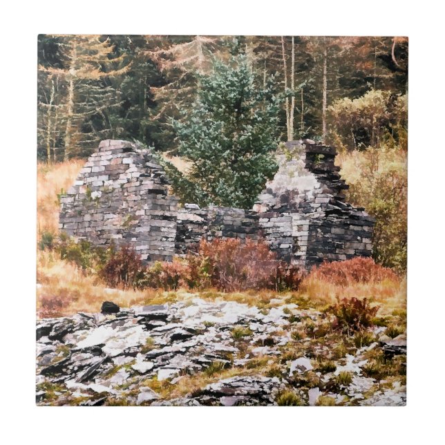 AZULEJO DE CERÂMICA  COTÁGINAS DE WELSH (Frente)