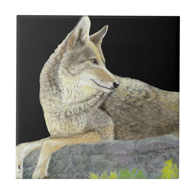 Azulejo De Cerâmica Coyote (Frente)