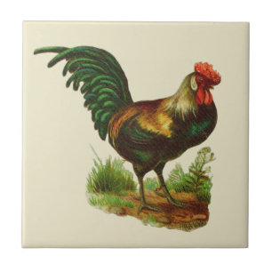 Azulejo De Cerâmica Cozinha Country Galo