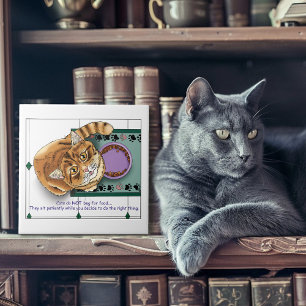 Azulejo De Cerâmica Cozinha de Comida Laranja Tabby