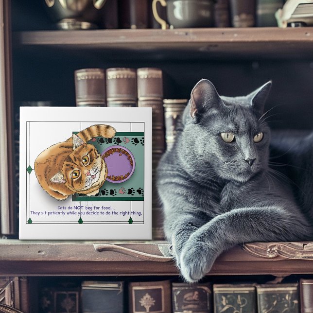 Azulejo De Cerâmica Cozinha de Comida Laranja Tabby (Criador carregado)