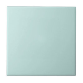 Azulejo De Cerâmica Cozinha Tampa Turquesa Tampa Teal e Banheiro