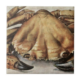 Azulejo De Cerâmica Crab (Creature Under the Sea) (by Albrecht Durer)