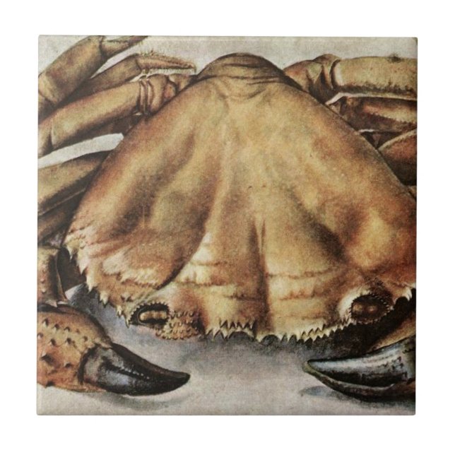 Azulejo De Cerâmica Crab (Creature Under the Sea) (by Albrecht Durer) (Frente)