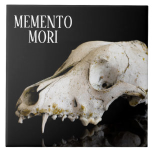 Azulejo De Cerâmica Crânio animal