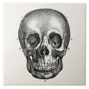 Azulejo De Cerâmica Crânios retros do crânio dos 1800s do vintage de