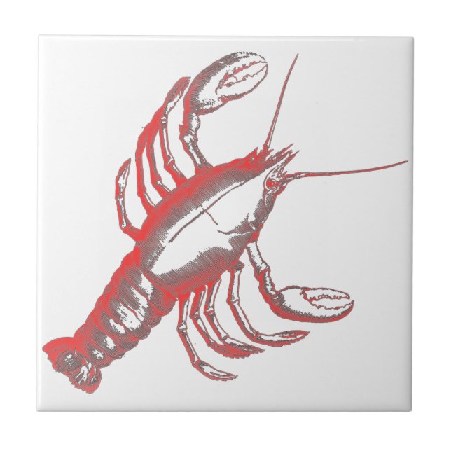 Azulejo De Cerâmica Crayfish (Frente)